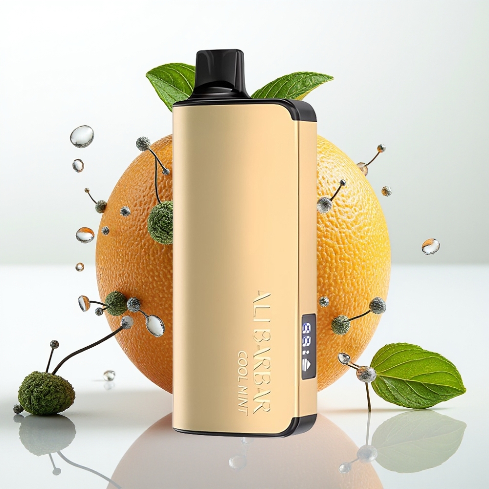 Alibarbar Ingot 9000 Puffs 22ml 2350mAh Menta Refrescante