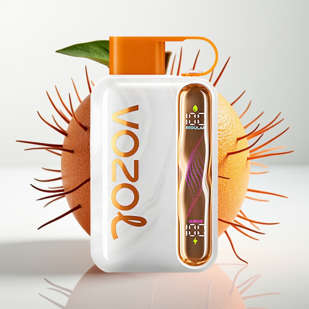 VOZOL STAR 40000 Puffs 1000mAh Tipo-C VZToro