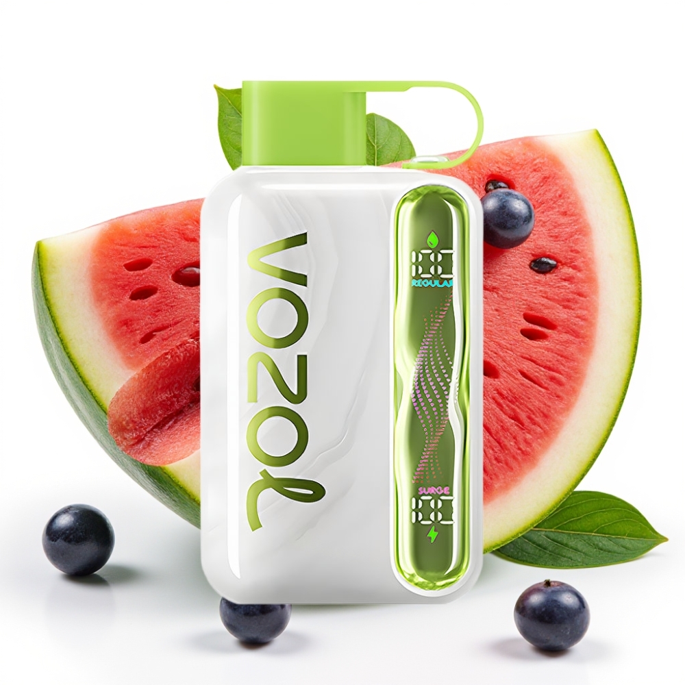 VOZOL STAR 40000 Puffs Vape Recargable Type-C 1000mAh 20/50mg/ml Sandía Uva Boysenberry